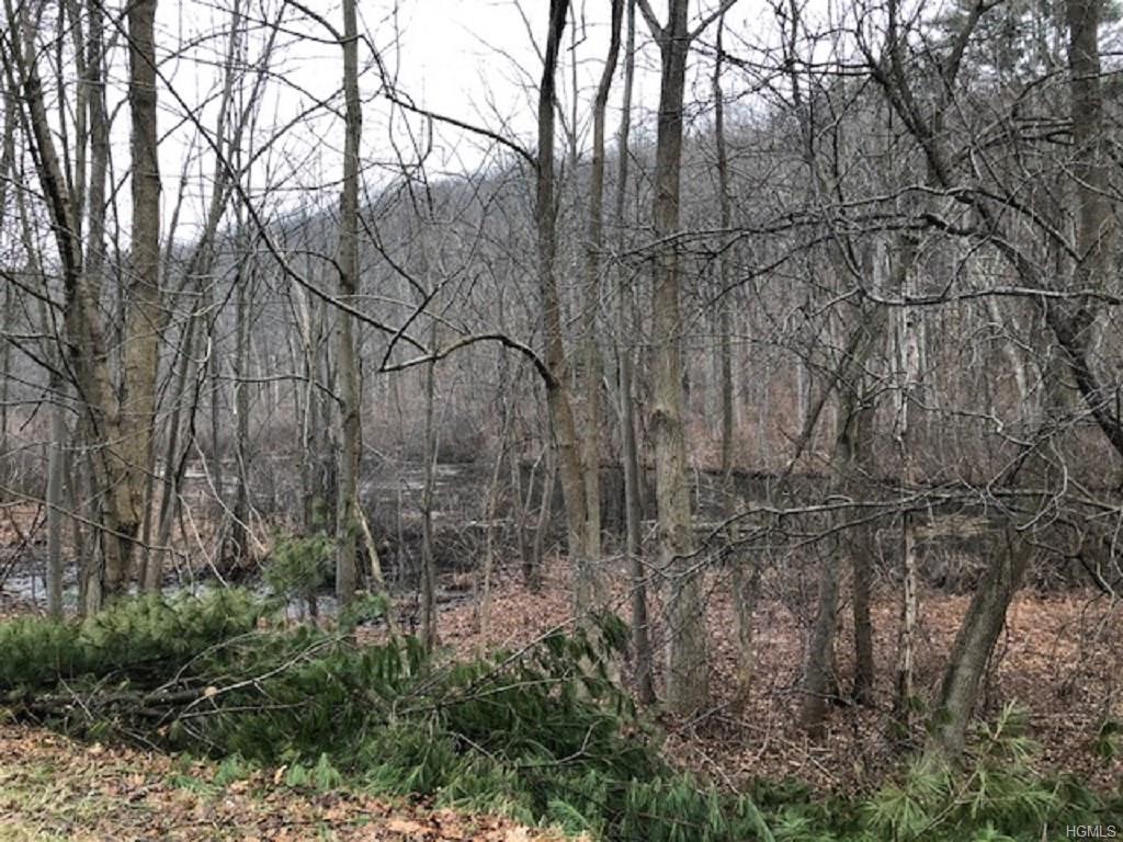 Monroe Road - Photo 1