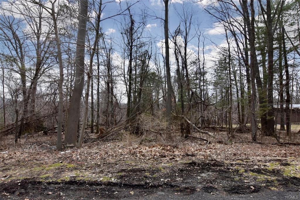 Dellwood - Photo 1