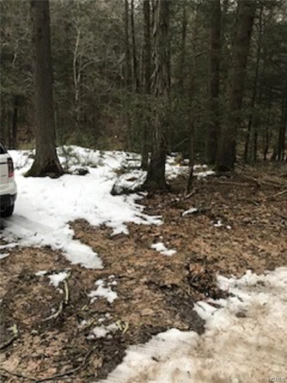 Pine Kill 2.57 Road - Photo 1