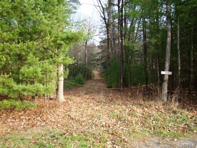 Route 42 - Photo 1