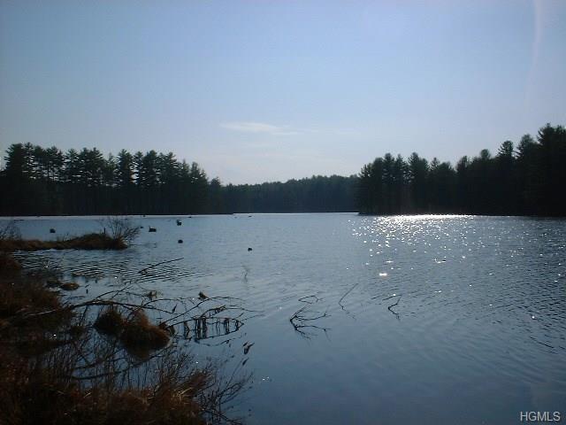 Swamp Pond Road Tr 37 - Photo 1