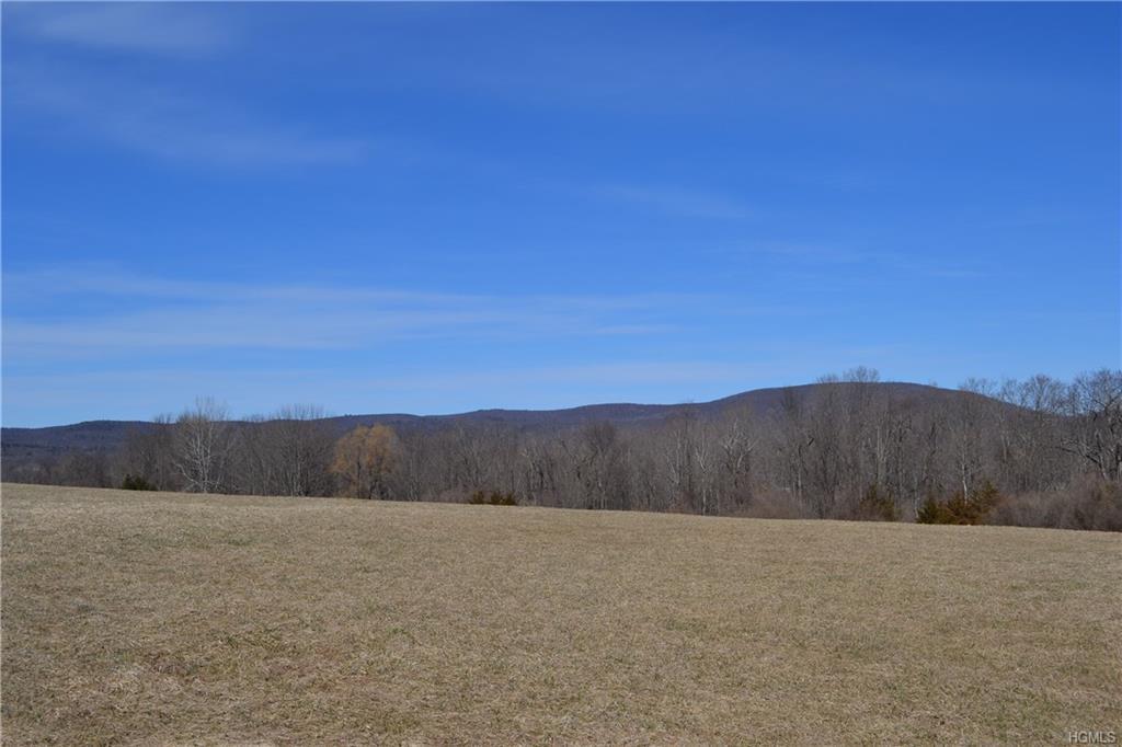 Cricket Hill Road - Photo 1