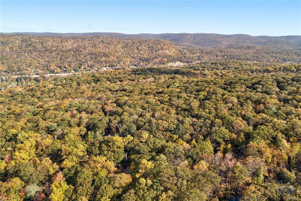 Pine Hill Road - Photo 1