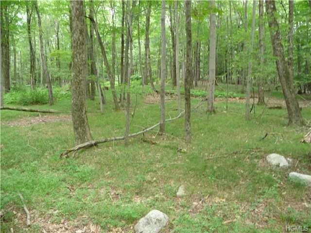 Mountain Rd Road - Photo 1