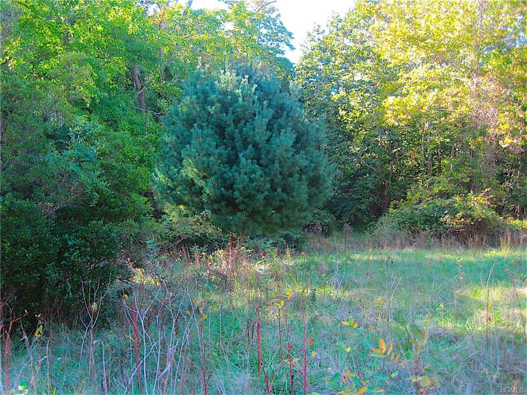 283 Bulsontown Road - Photo 1