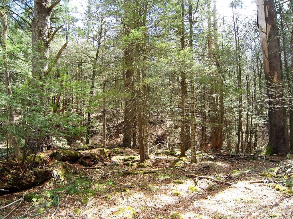 Mill Road - Photo 1