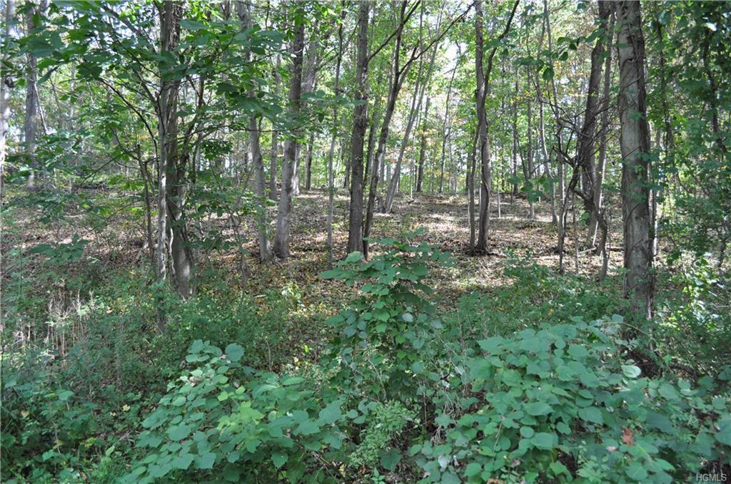 00 Chappaqua Road - Photo 1