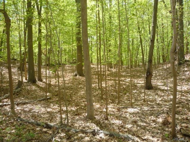 0 Woodway Road - Photo 1