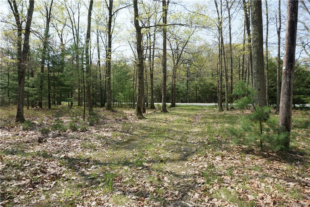 890 Mount Vernon Road - Photo 1