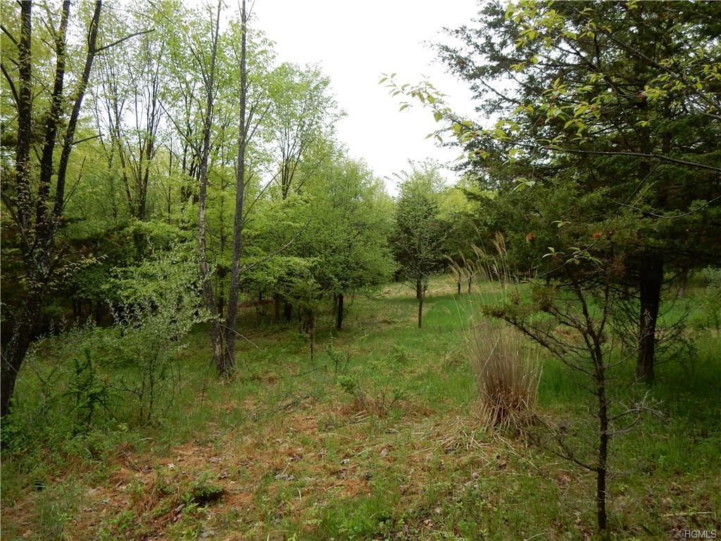 Odyssey Drive - Photo 1