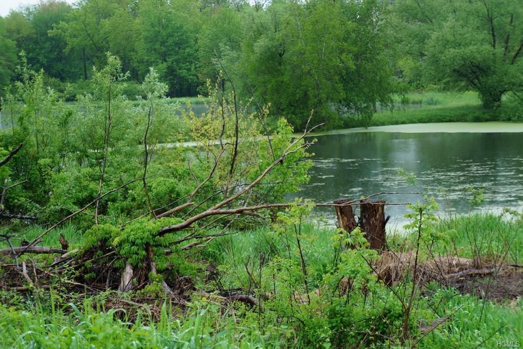 Wheeler Road - Photo 1