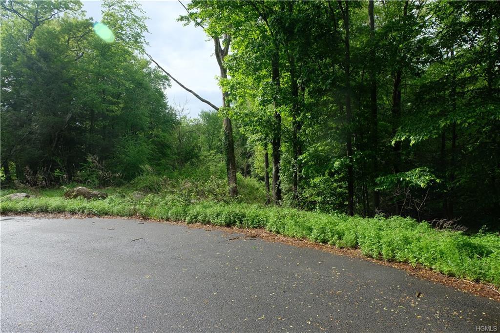 63 White Birch Road - Photo 1