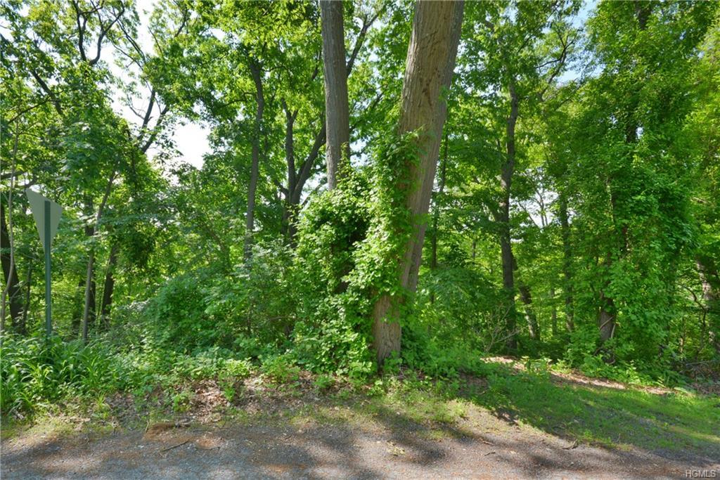20 Laurel /Johnson - Photo 1