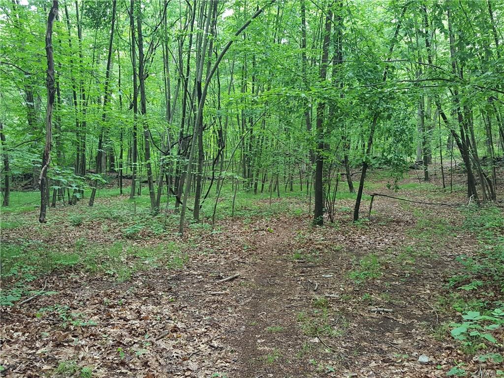 381 Allview - Photo 1
