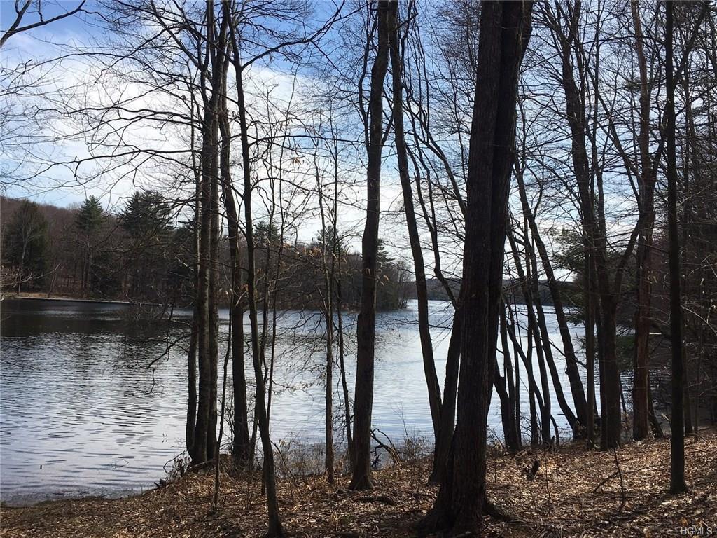 Lot 9 Chapin Trail - Photo 1
