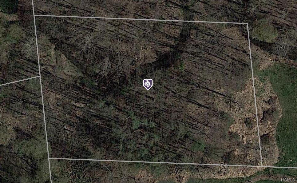Wawayanda Road - Photo 1