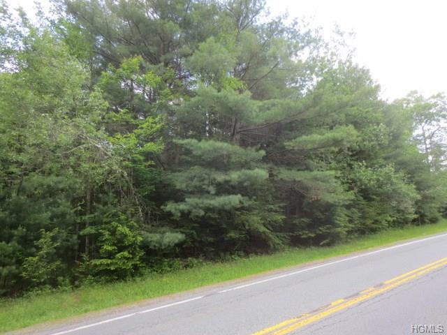 Anawana Lake Road - Photo 1