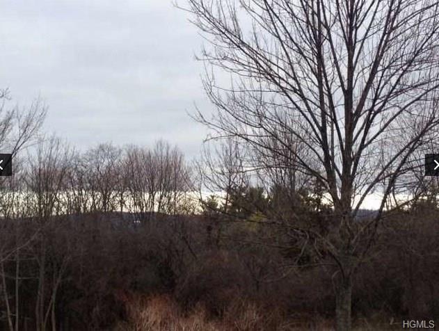 Top O Hill Road - Photo 1