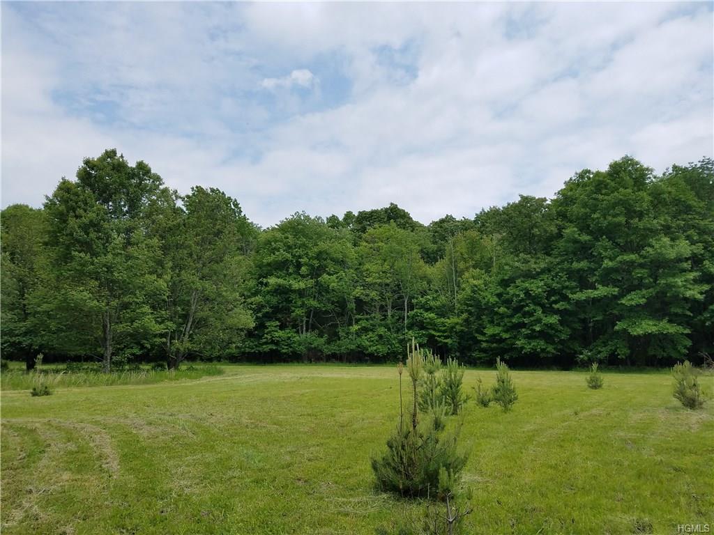 Bethlehem Road - Photo 1