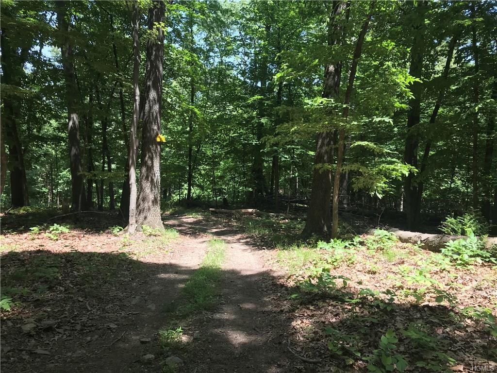 Brady Road - Photo 1