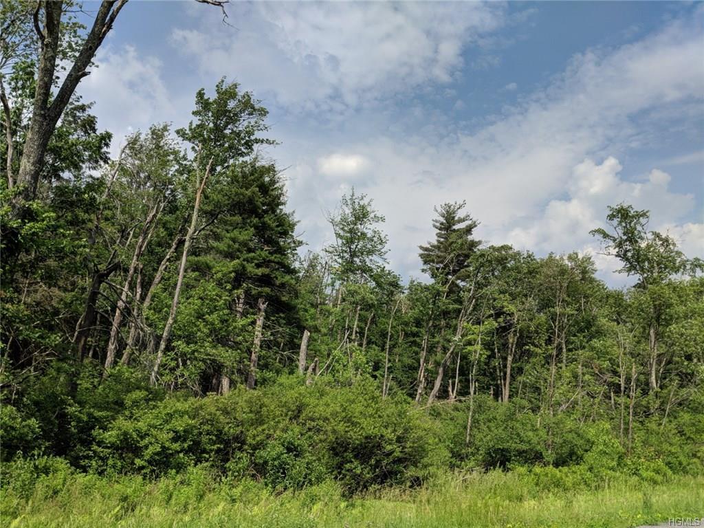 Route 42 - Photo 1