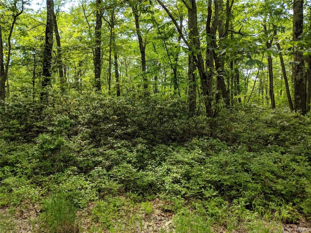 20.5 Kalin Weber Road - Photo 1