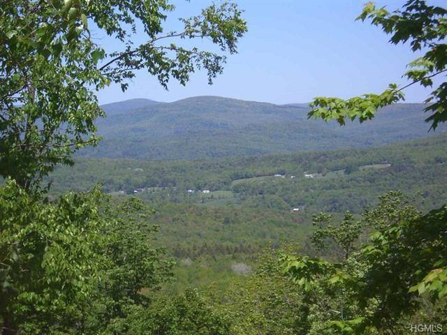 Skyline Rd - Photo 1