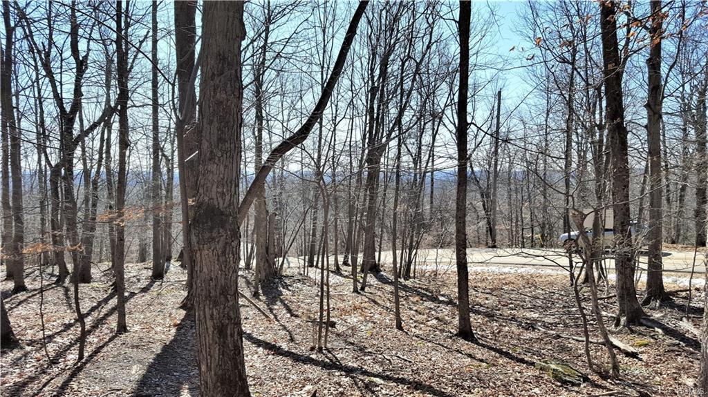 Skyline Drive - Photo 1