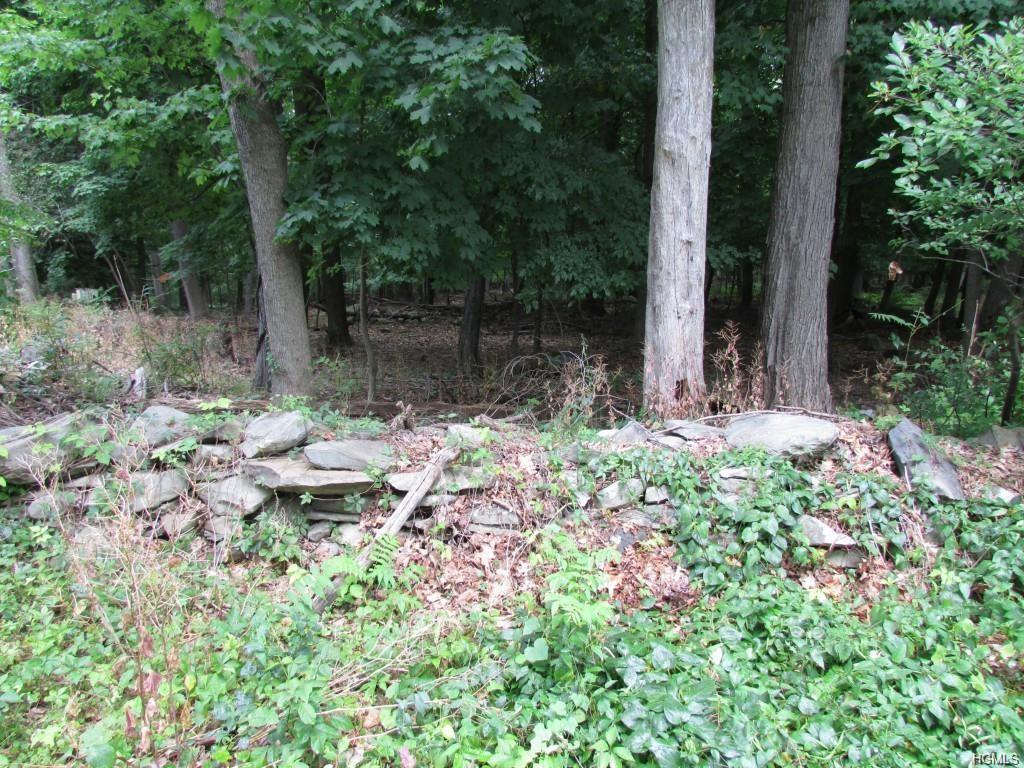 46 Long Hill Road - Photo 1