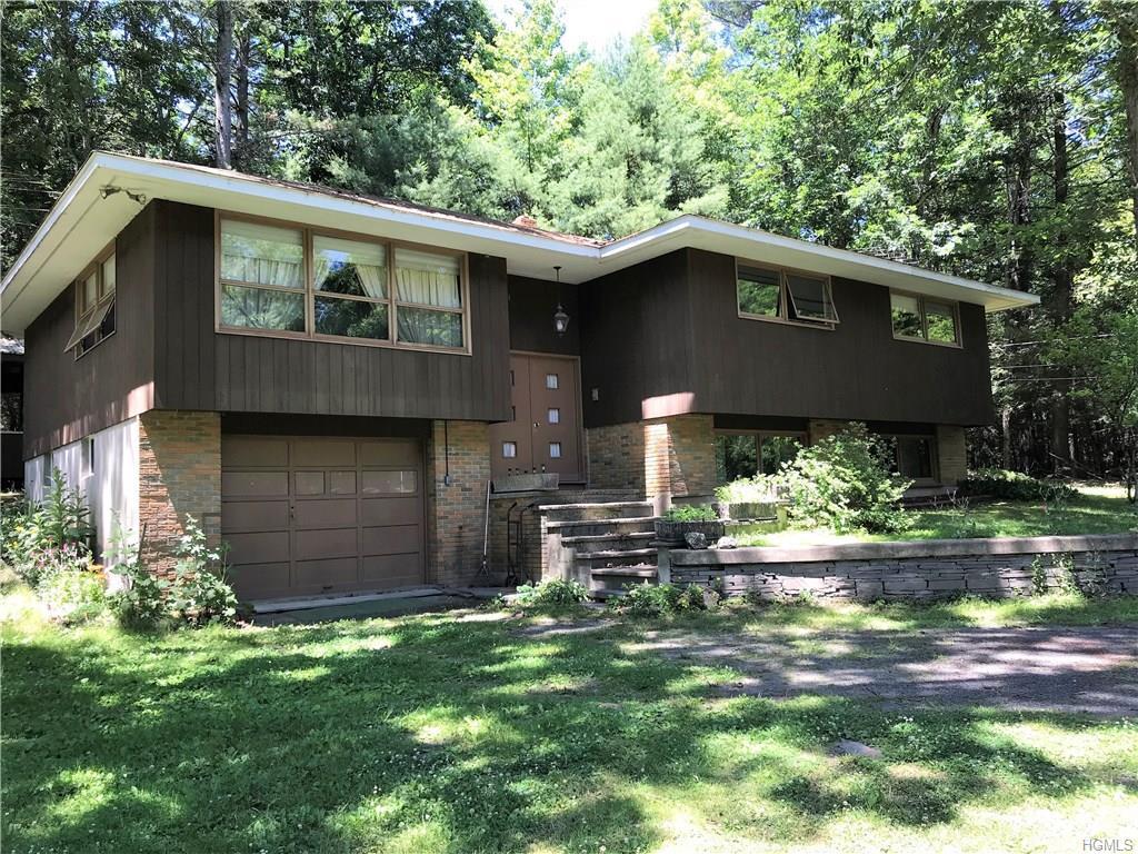 59 Upper Pine Kill Road - Photo 1