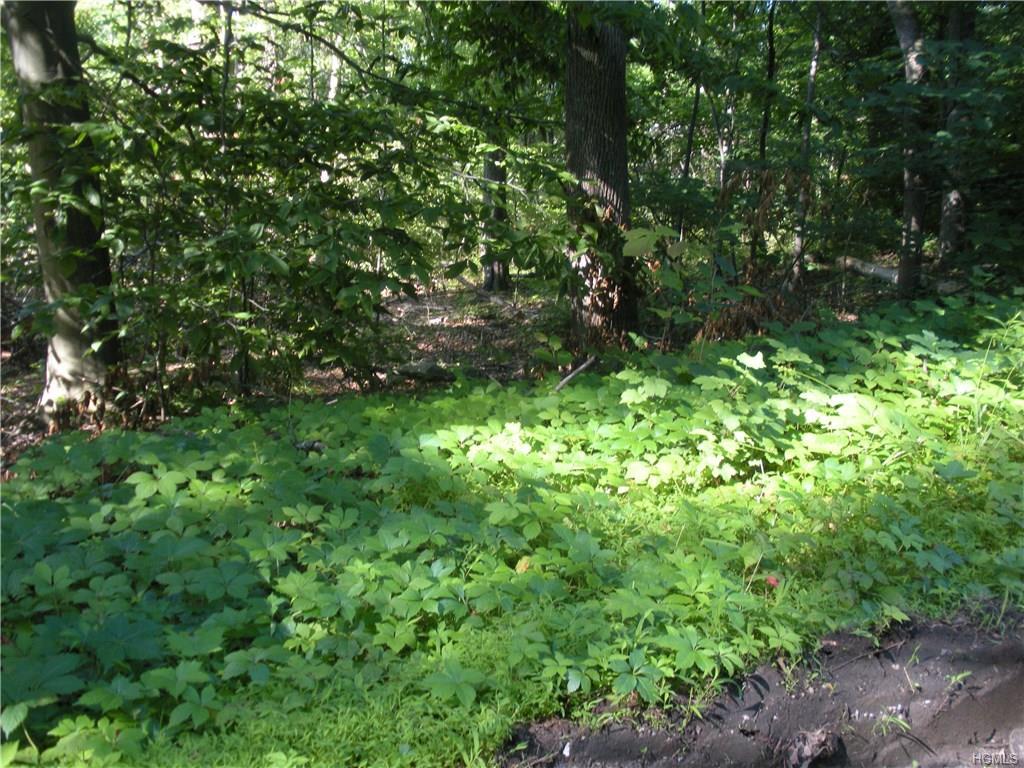 Walker Valley Road - Photo 1