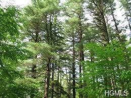 Old Greenfield Road - Photo 1
