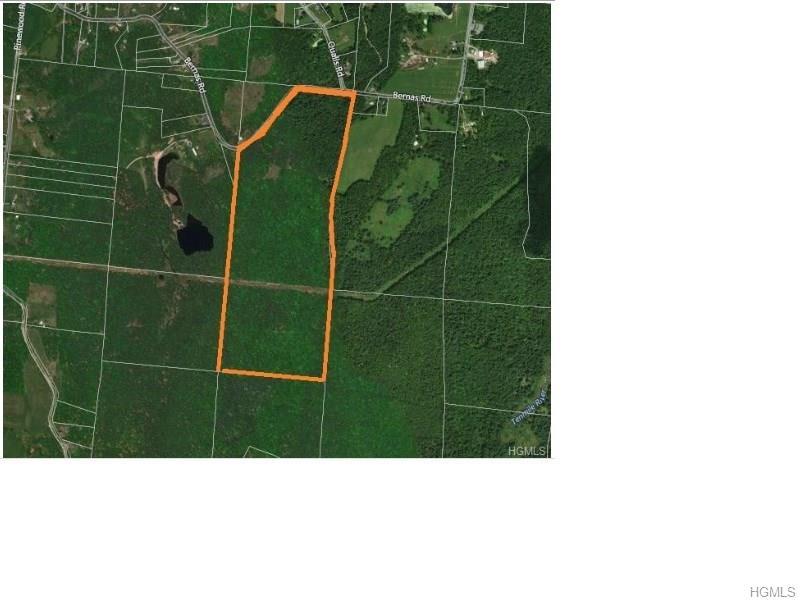Lot 6.2 Bernas A/K/A Tr 22 Road - Photo 1