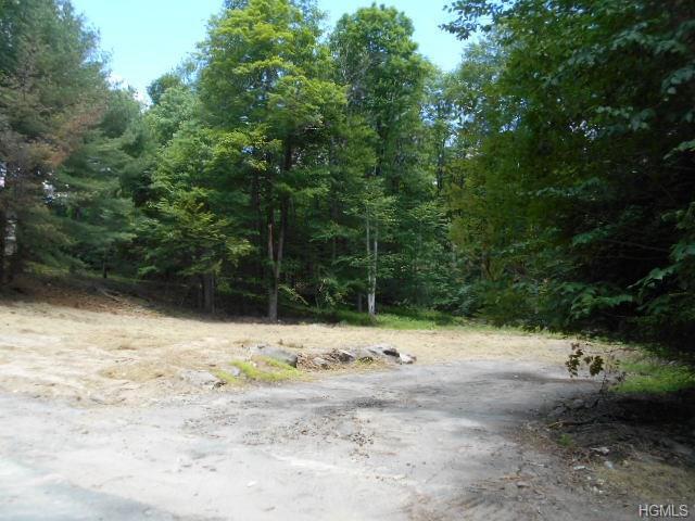52 Taconic Trail - Photo 1