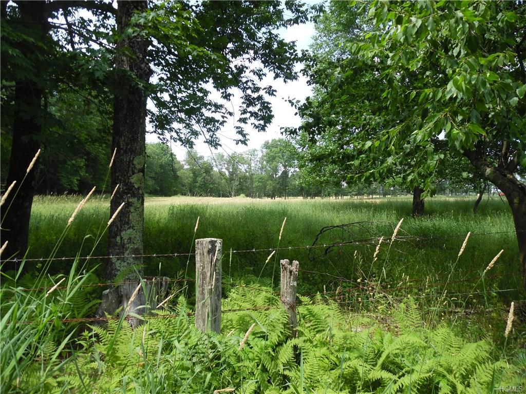 TBD Butrick Road - Photo 1