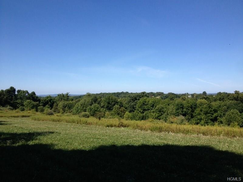 Guinea Hill Road - Photo 1