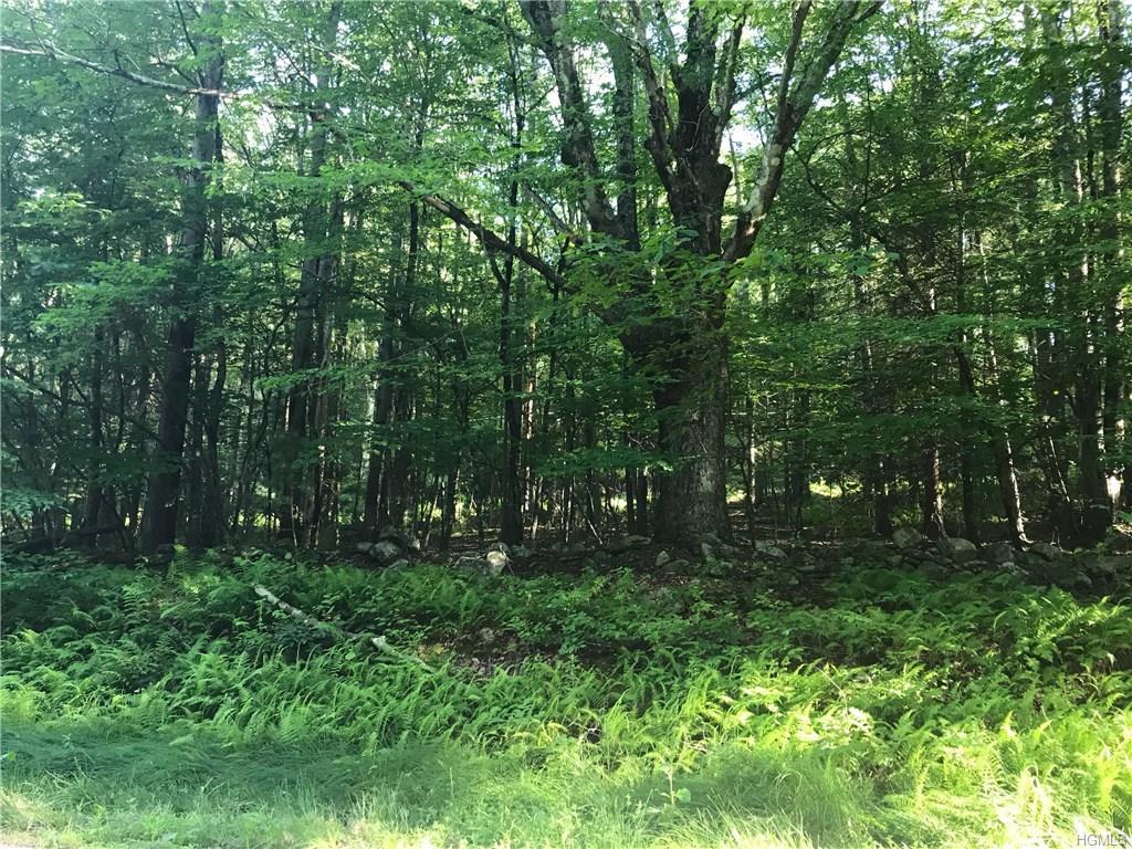165 Mountaindale Road - Photo 1