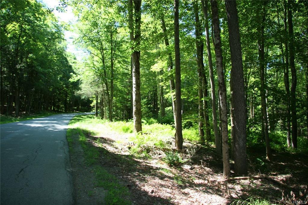 0 Mitchell Pond - Photo 1