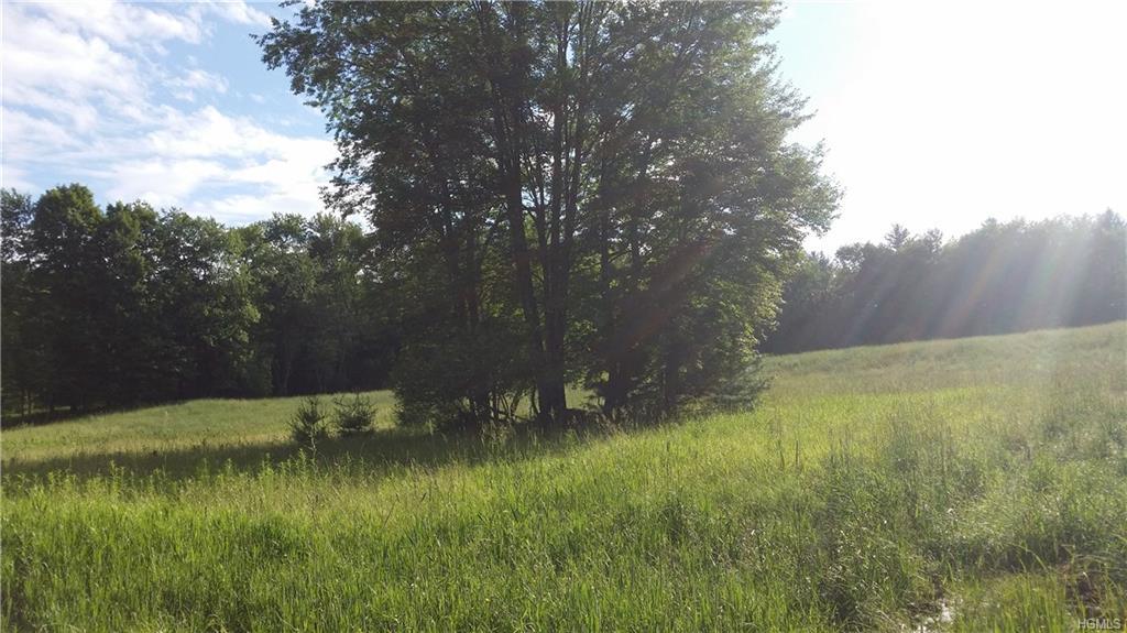 Segar & Rosenberg Road - Photo 1