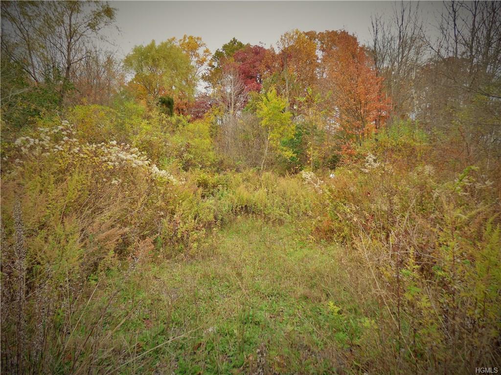 1614 St Hwy 211 - Photo 1