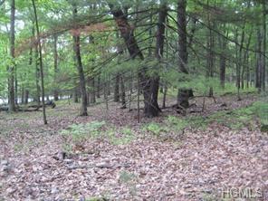 28-1-15 State Route 97 Route - Photo 1