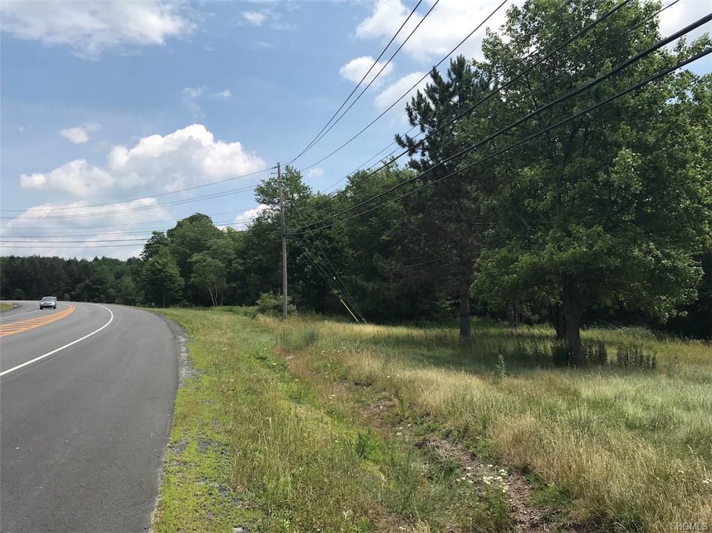 30.-1-90.5 State Route 52 - Photo 1
