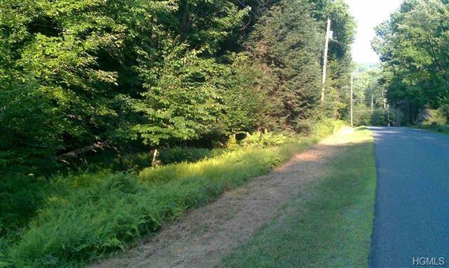 Forest Road - Photo 1