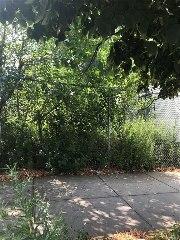 2454 Saint Raymonds Avenue - Photo 1