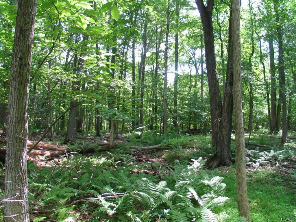 Lot 19 Smith Ridge Road - Photo 1
