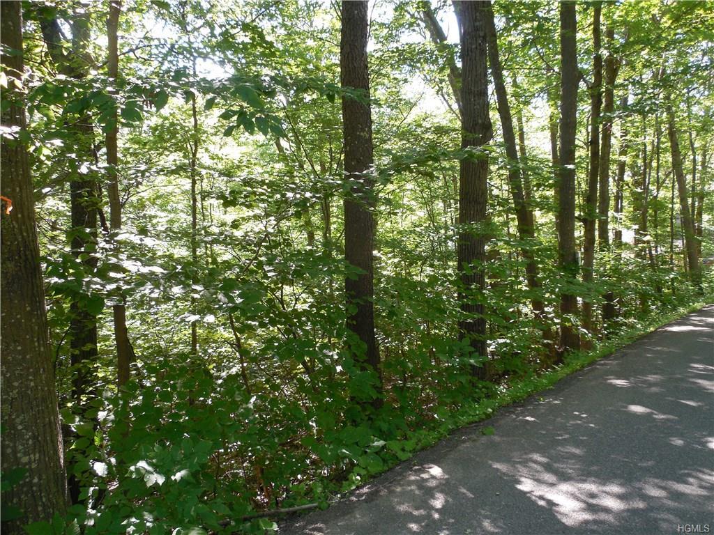Traver Hollow Road - Photo 1