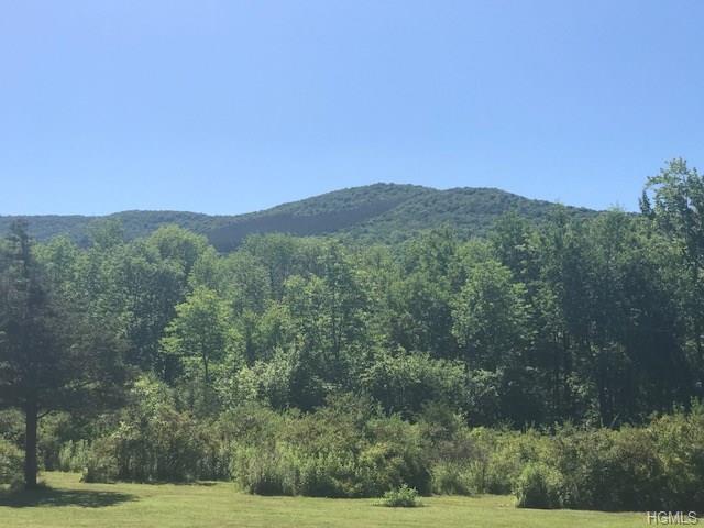 Route 11 - Photo 1