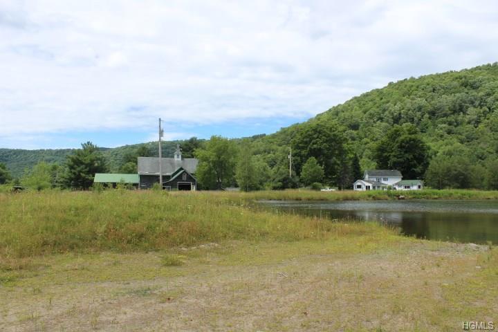 71 Beaverkill Road - Photo 1