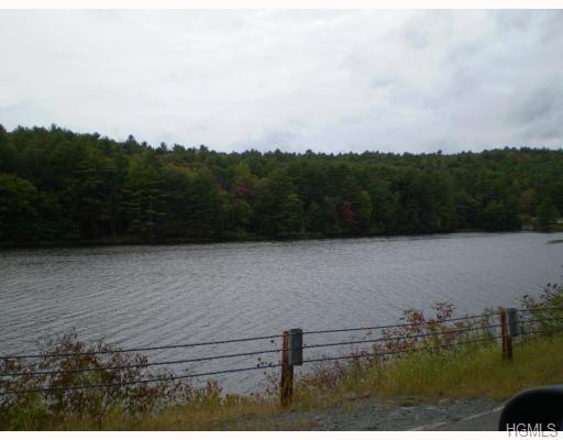 Forestburgh Road - Photo 1