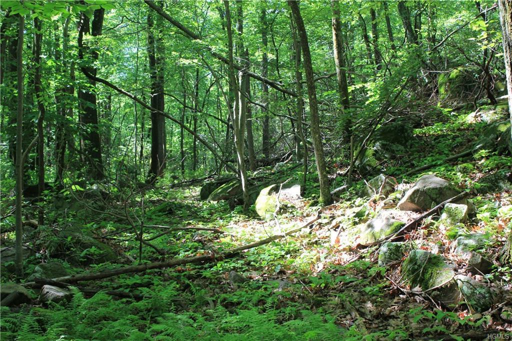 Conant Valley Road - Photo 1